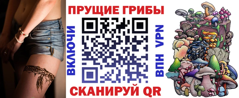 Псилоцибиновые грибы Psilocybine cubensis  закладка  Ивдель 
